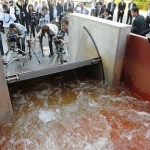 Nature-Powered Flood Prevention System Developed By Japan